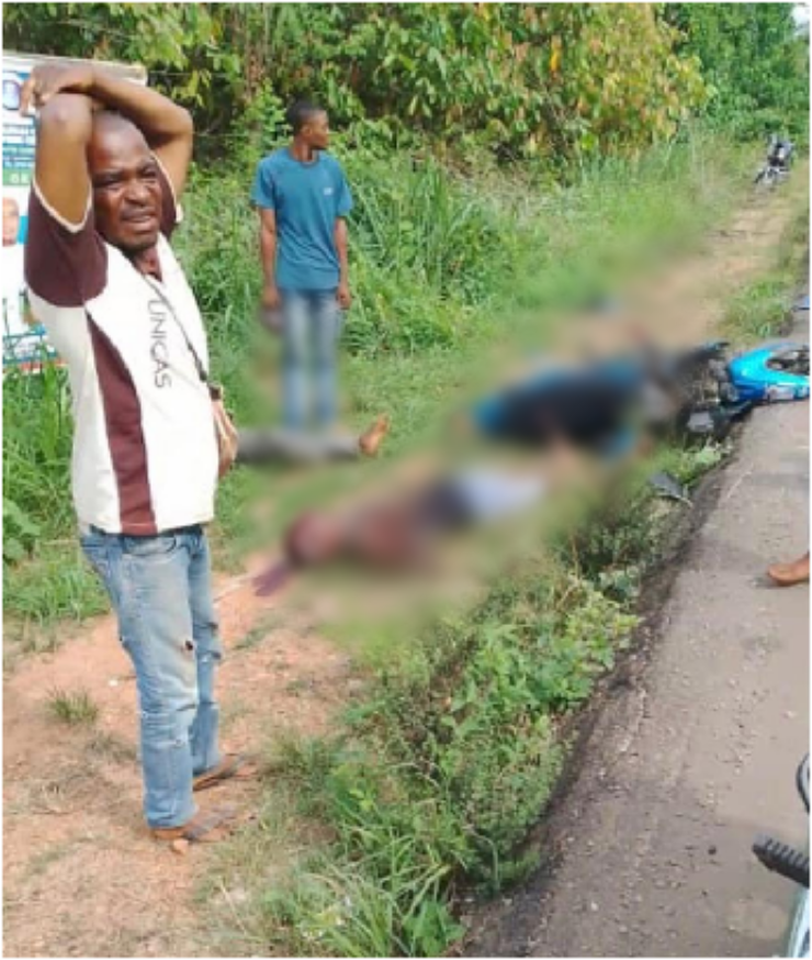 Herder fled as cattle kill 2 in ondo