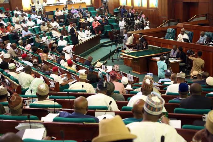 Breaking: Reps Reject Castration Penalty For Rape Offenders | Daily Report Nigeria