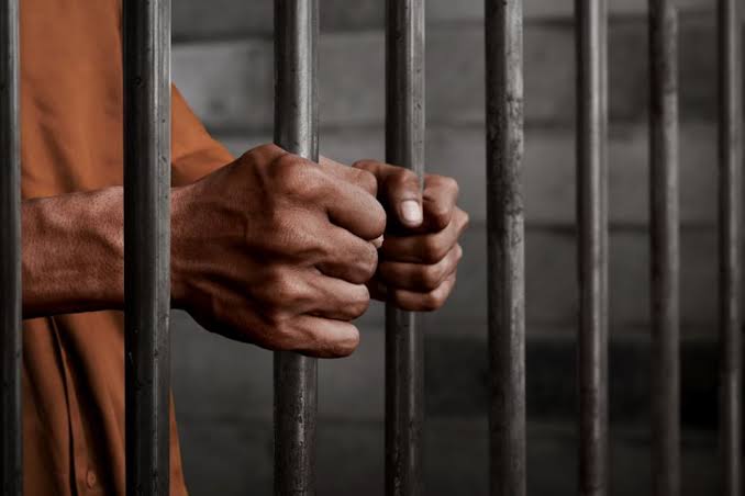 Warri-Based Herbalist Convicted of Fraud, Gets 7-years Prison Sentence | Daily Report Nigeria