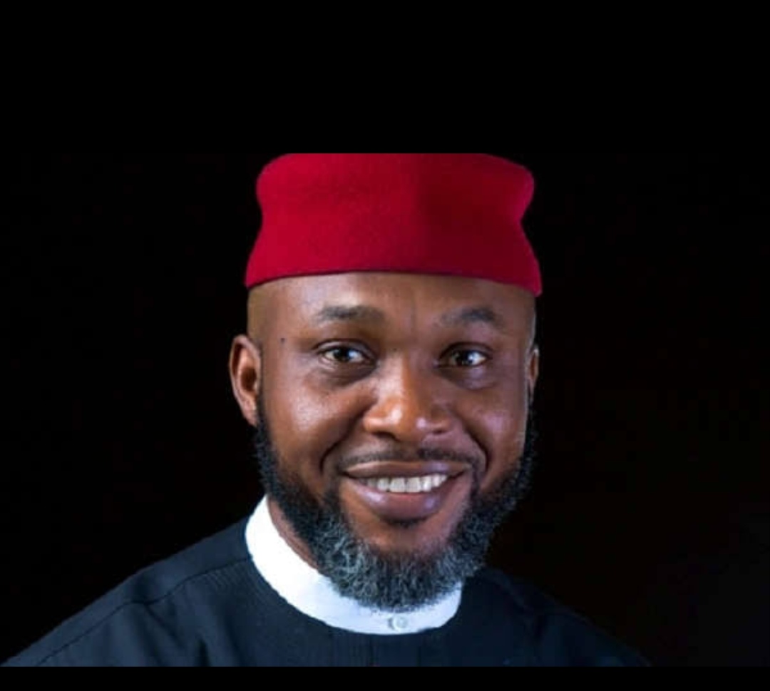 As Minister, I Moved My Daughters to a Federal Government College - Chidoka | Daily Report Nigeria