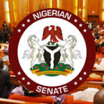 Senate Moves to Cut Down Price of Cement | Daily Report Nigeria