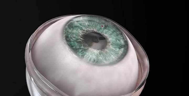 Isreali Company Develops Artificial Cornea, Successfully Implant in Blind Man's Eye | Daily Report Nigeria