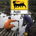 IYC Accuses Agip of Masterminding Ethnic Cleansing in Niger Delta | Daily Report Nigeria