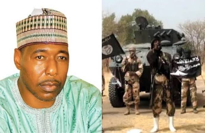 White Men, Asians, Christians All Part of Boko Haram - Zulum | Daily Report Nigeria