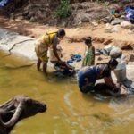 Cholera responsible for over 25 deaths in Benue – Official | Daily Report Nigeria