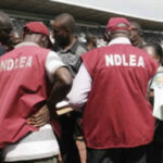 NDLEA Seizes Cocaine Worth Over N30b at Lagos Airport | Daily Report Nigeria