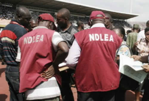 NDLEA Seizes Cocaine Worth Over N30b at Lagos Airport | Daily Report Nigeria