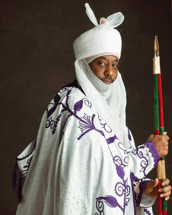 Buhari Has Created a Monster in IPOB - Sanusi | Daily Report Nigeria