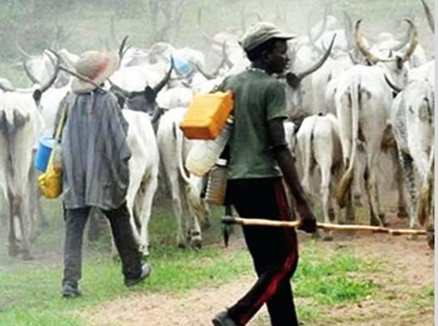 Nigeria Police Lied, Cattle Invaded My Home – Soyinka | Daily Report Nigeria