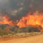 Kwara Loses N27.6m Property To Bush Burning | Daily Report Nigeria