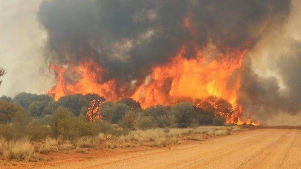 Kwara Loses N27.6m Property To Bush Burning | Daily Report Nigeria