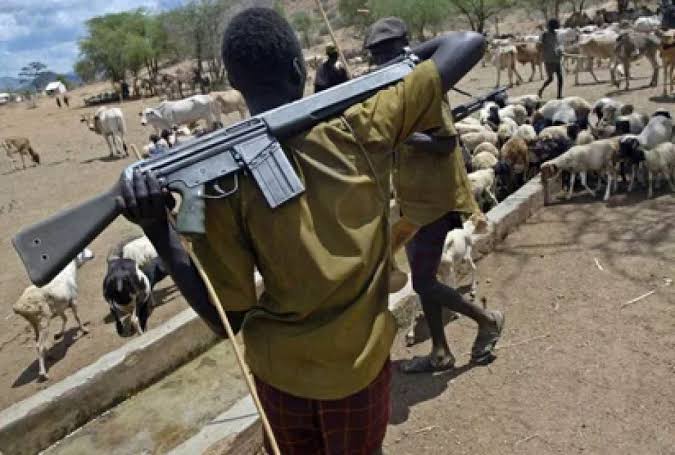 Fani Kayode Speaks on Fulani Herdsmen Carrying Guns | Daily Report Nigeria