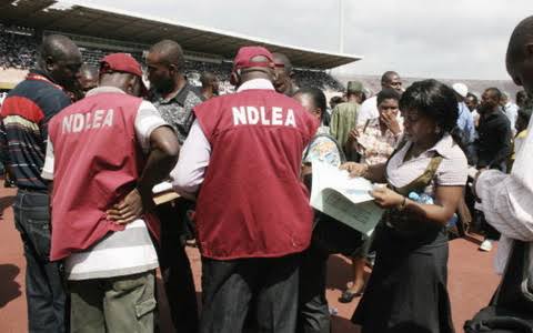 NDLEA Confiscates Over N17m Worth of Illicit Drugs | Daily Report Nigeria