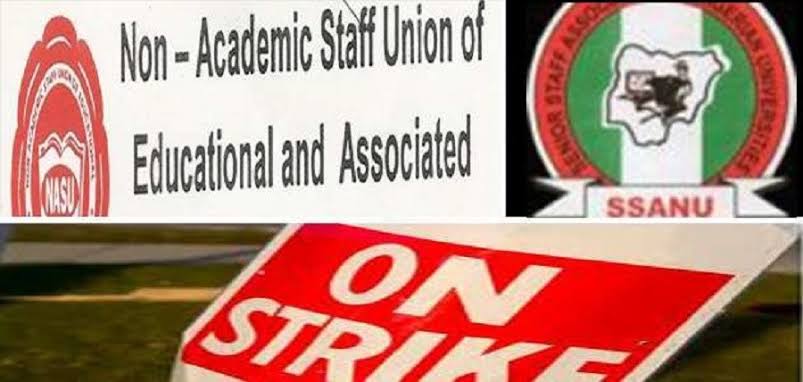 Varsity Staff Say No Going Back On Planned Industrial Action | Daily Report Nigeria