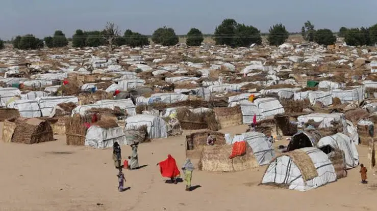 Borno Govt Uncovers Fake IDPs in Maiduguri | Daily Report Nigeria