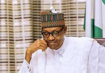 Afenifere Reacts To Buhari’s Shoot-on-Sight Order in S’East | Daily Report Nigeria