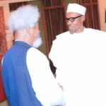 Soyinka To Buhari: Nigeria is At War; Seek Help, Stop Improvising With Human Lives | Daily Report Nigeria