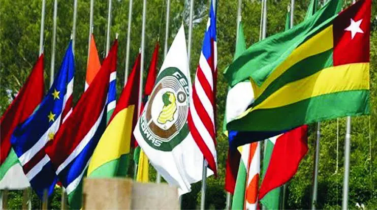 ECOWAS suspends Mali over coup | Daily Report Nigeria