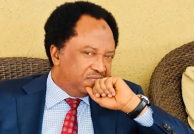 Gulak: Forces Trying To Trigger Ethnic War in Nigeria – Shehu Sani | Daily Report Nigeria