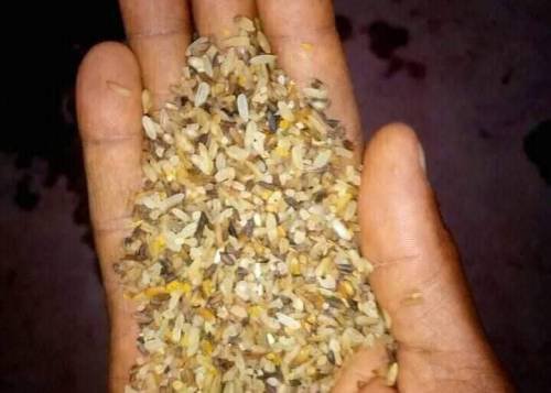 Photos: Lawmaker Shares Expired Rice to Constituents For Ramadan | Daily Report Nigeria