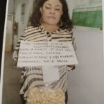 Brazil-based mother of three arrested by NDLEA after caught with cocaine in her private part | Daily Report Nigeria