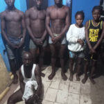 Police Arrest Notorious Kidnappers Imo | Daily Report Nigeria