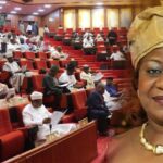 Video: Senators Unanimously Echo "Nay" in Rejection of Lauretta Onochie's Nomination | Daily Report Nigeria