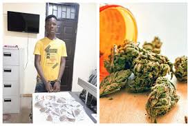 17 year old drug dealer arrested in Delta State | Daily Report Nigeria