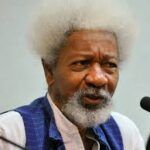 "FG should apologize to Igboho and stop treating him like a criminal" - Wole Soyinka | Daily Report Nigeria