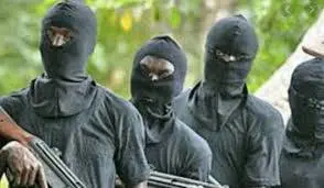 Policeman, 3 Others Die as Gunmen Attack Police Station in Imo