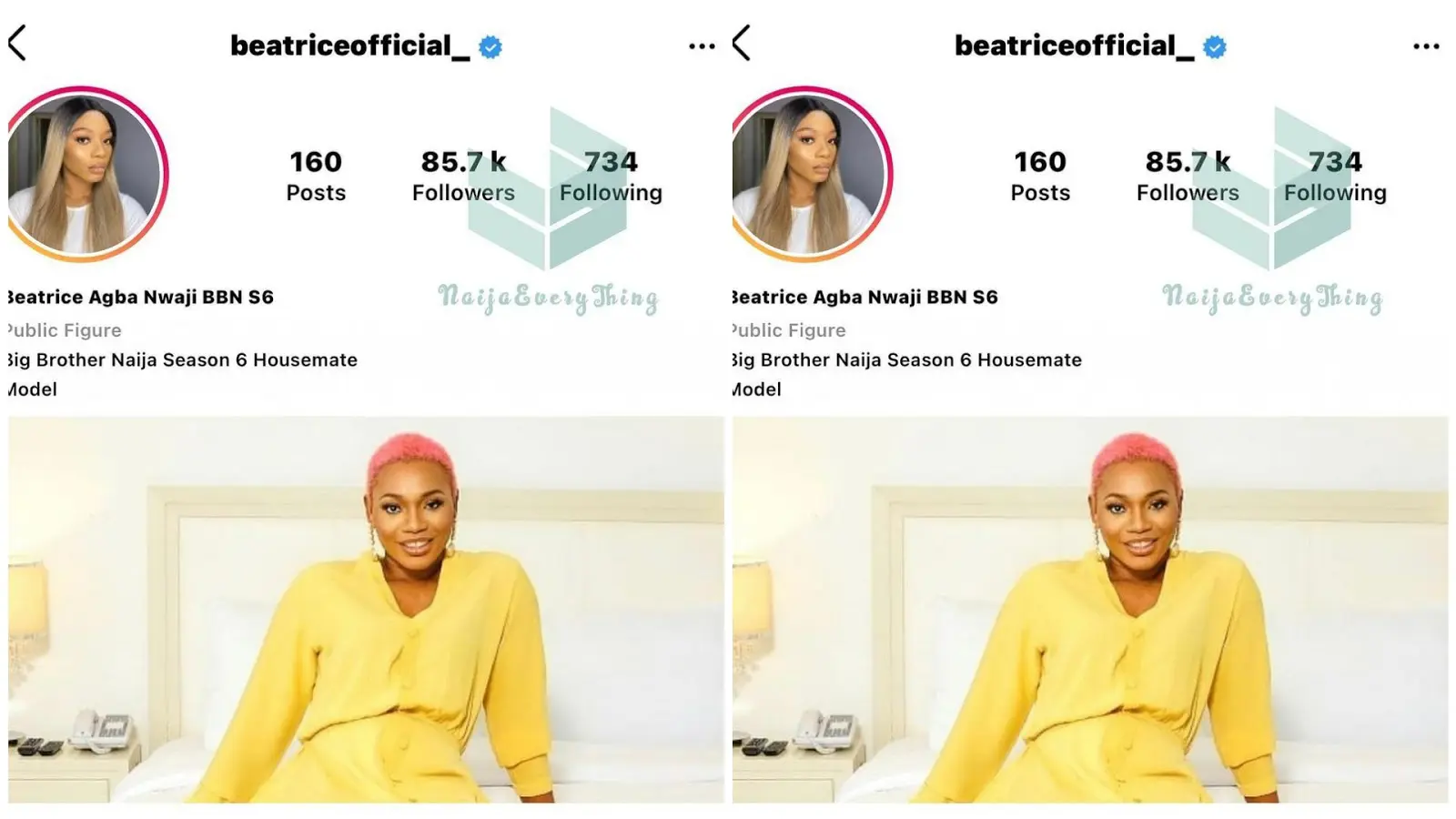 BBNaija: Beatrice Become First Housemate to get Verified on Instagram | Daily Report Nigeria
