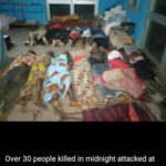 Bandits Attack Community Plateau | Daily Report Nigeria