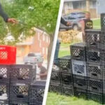 Tik Tok Bans ' Milk Crates Challenge ' on it's Platform | Daily Report Nigeria