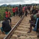 Over 20 Cows Killed as Train Rams Into Herd in Abuja | Daily Report Nigeria