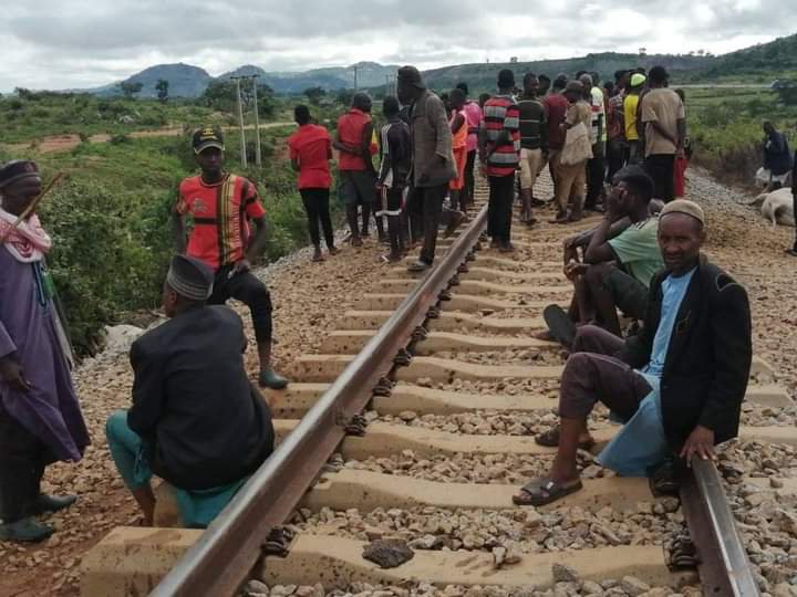 Over 20 Cows Killed as Train Rams Into Herd in Abuja | Daily Report Nigeria