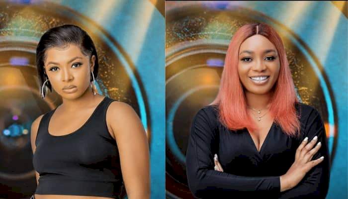 BBNaija Shine Ya Eye: Liquorose fights Beatrice | Daily Report Nigeria