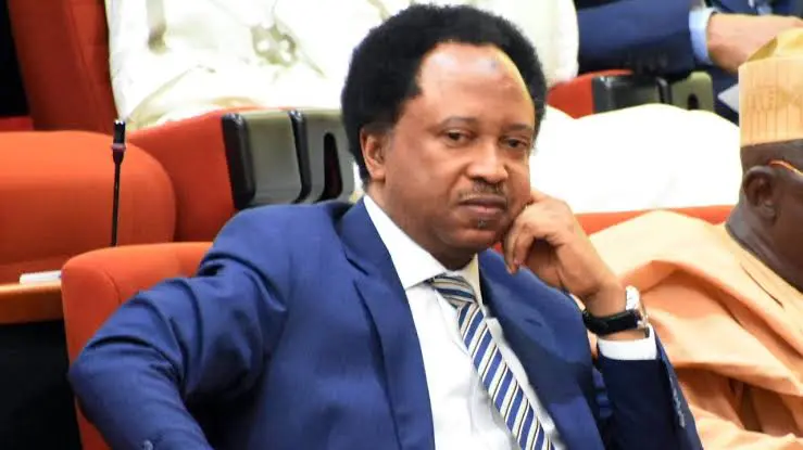 Nigeria is a Zigzag Republic - Senator Shehu Sani | Daily Report Nigeria