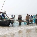 Provide Schemes For Fishermen Like You Provide For Farmers - Seikam Tells Govt | Daily Report Nigeria