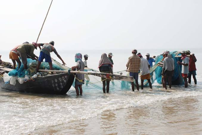 Provide Schemes For Fishermen Like You Provide For Farmers - Seikam Tells Govt | Daily Report Nigeria