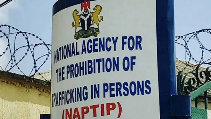 80 Nigerian Victims Of Trafficking Rescued in Niger Republic - NAPTIP