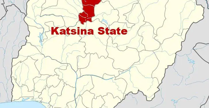 Gunmen Kidnap Pupils, Teacher in Katsina