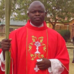 Catholic Priest Abducted in Kaduna Regains Freedom | Daily Report Nigeria