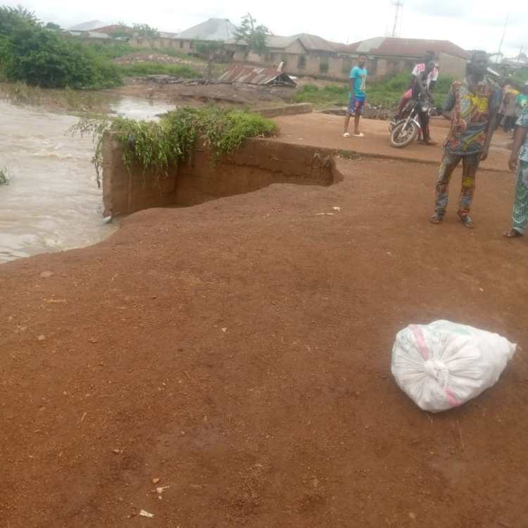 Collapsed Bridge Leaves Villagers, Farmers High and Dry in Oyo | Daily Report Nigeria