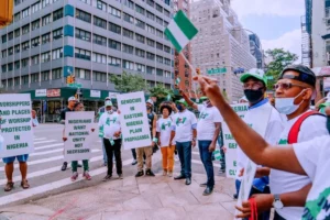 Nigerians in New York Campaign Against Secession (PHOTOS) | Daily Report Nigeria