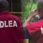 NDLEA Nab Pregnant Woman With Illegal Drugs In Rivers | Daily Report Nigeria