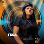 BBNaija: Tega Explains What Happened Under The Duvet with Boma | Daily Report Nigeria