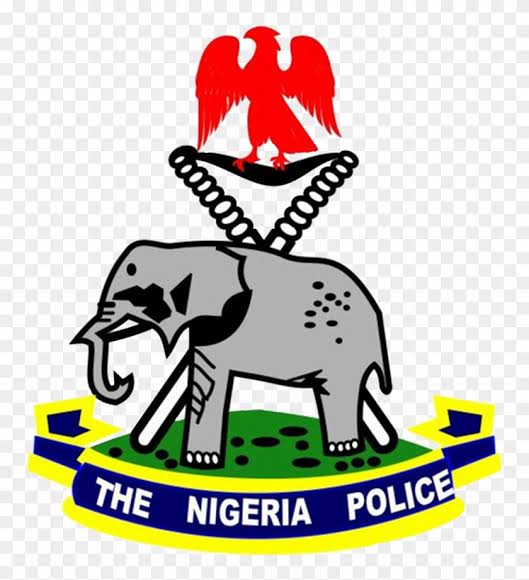 Police Arrests Popular Car Snatcher in Rivers | Daily Report Nigeria