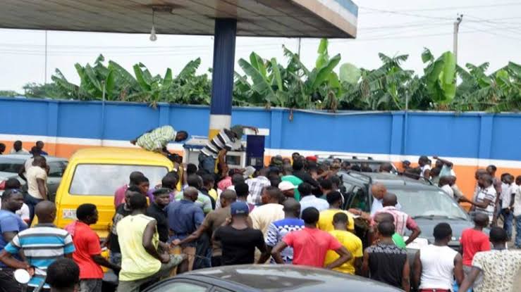 Scarcity: NANS Gives Oil Marketers 24-Hour Ultimatum To Supply Fuel to Imo Residents | Daily Report Nigeria