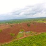 Farm Estates Not Same As RUGA - FG | Daily Report Nigeria