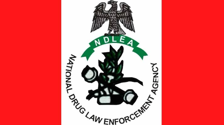 Illicit Drug Merchants Will Offer You Money, Reject it - NDLEA Boss Tells New Officers | Daily Report Nigeria